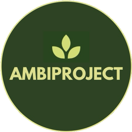 AMBIPROJECT Logo